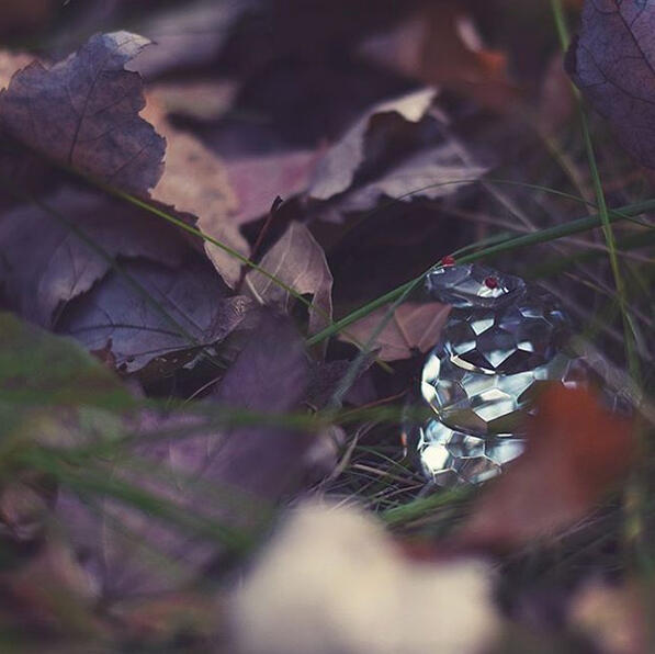 November 2016 - the intro image to the project